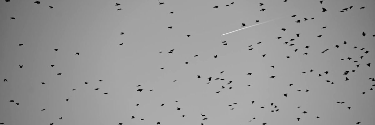 Wide abstract view of balanced environment for practice